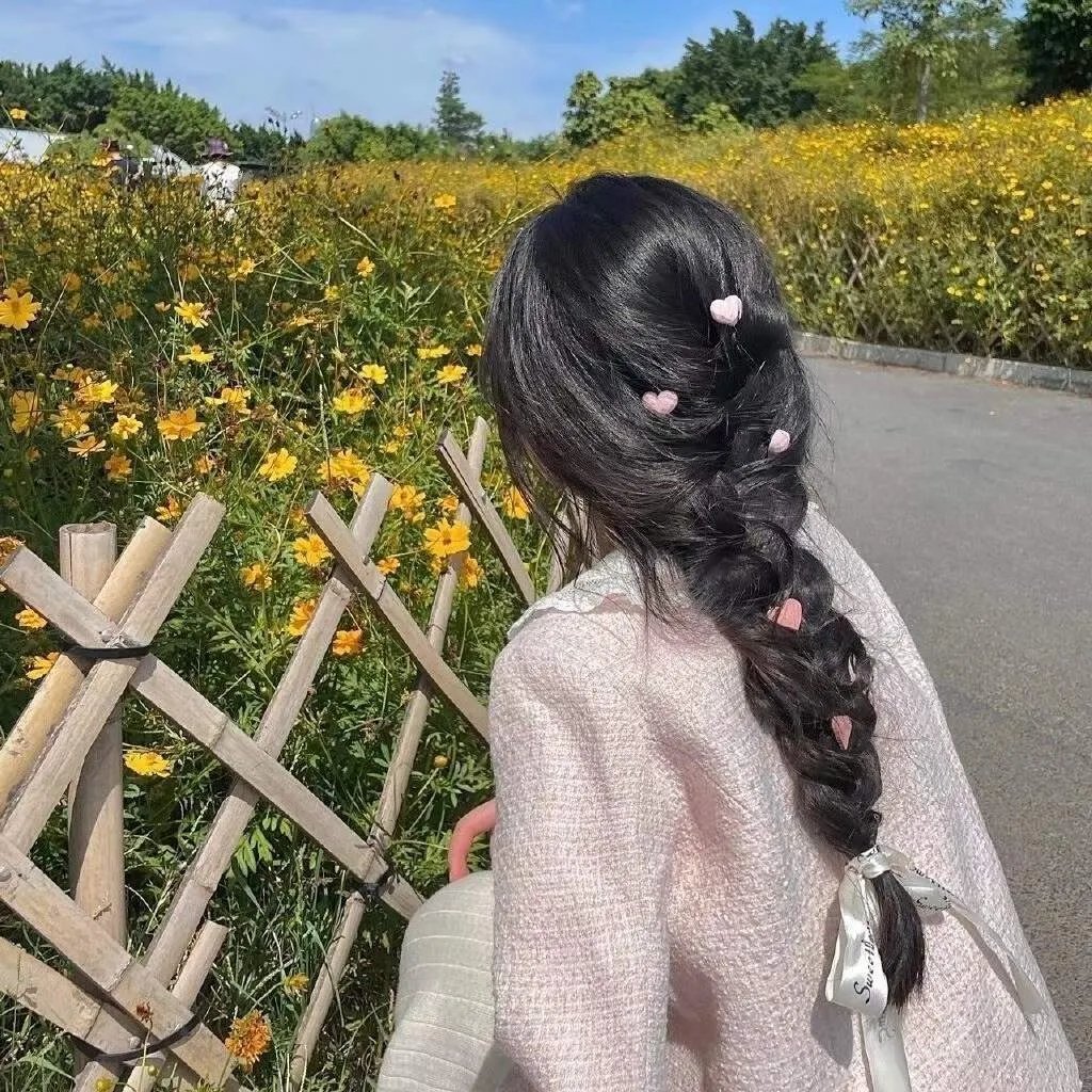 妙探双龙
